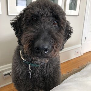 Meet your Posher, Lance